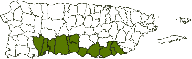Mapa Área Sur Puerto Rico
